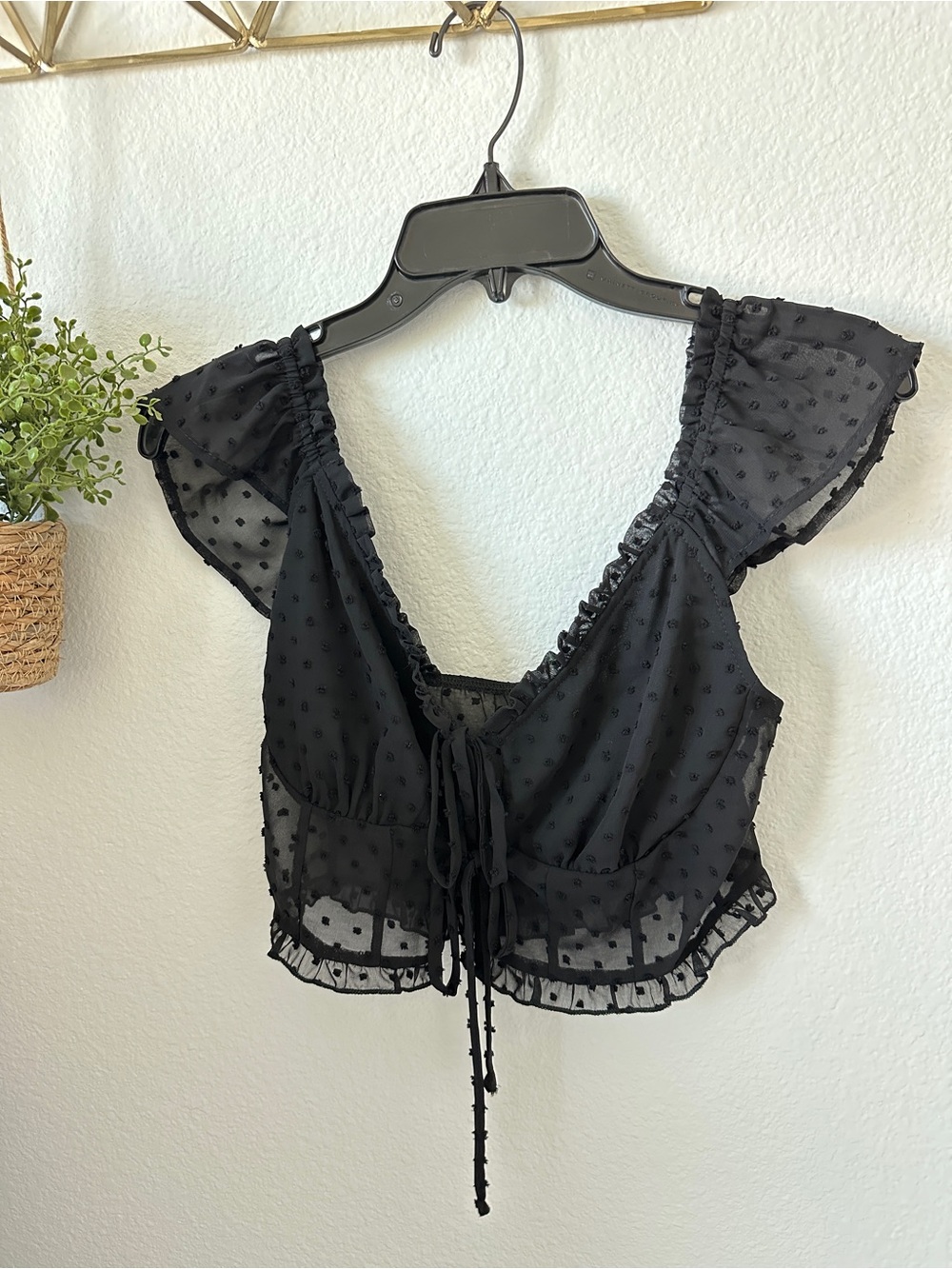 Sheer Swiss Dot Tie-Front Flutter Sleeve Top - Black